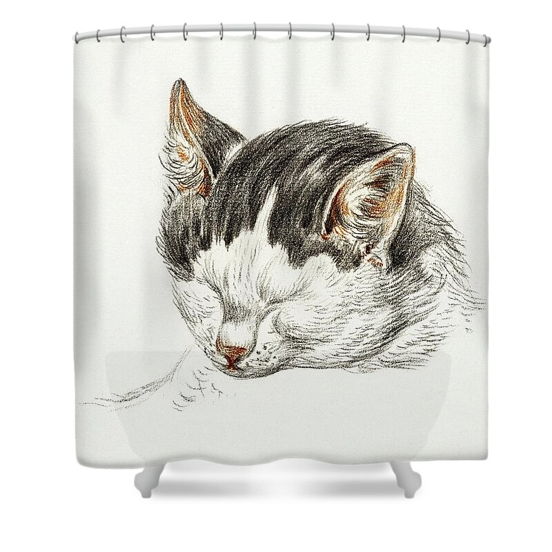 Animal Shower Curtain featuring the drawing Cat Drawing 16 by Jean Bernard 1828 by Movie Poster Prints