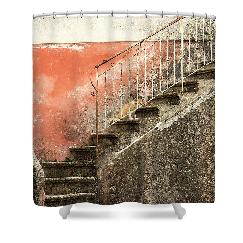 Corfu Shower Curtain featuring the photograph Cat on Steps, Corfu, Greece by Sarah Howard
