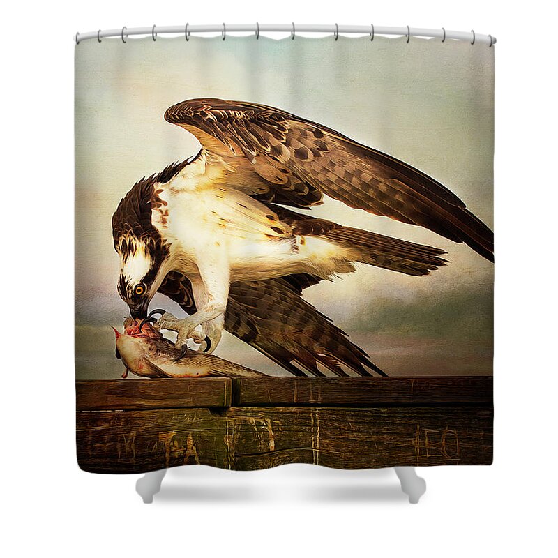 Osprey Shower Curtain featuring the photograph Catch by Pete Rems