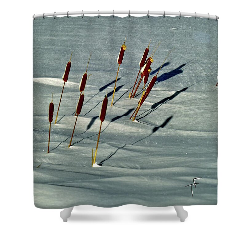 Snow Shower Curtain featuring the photograph Cattails in the Snow I by Theresa Fairchild