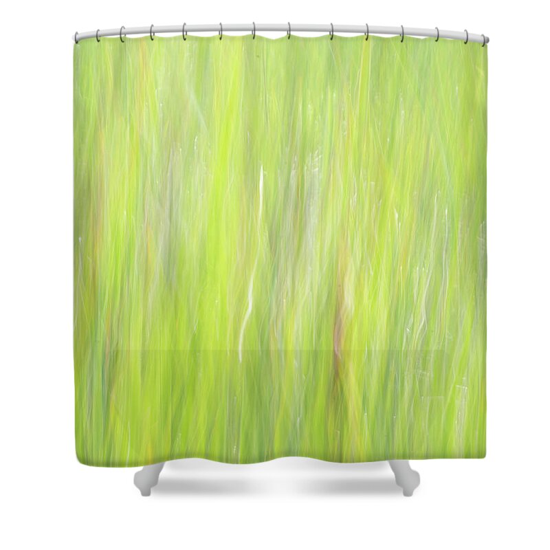 Nature Shower Curtain featuring the photograph Cattails in the Wind by Forest Floor Photography