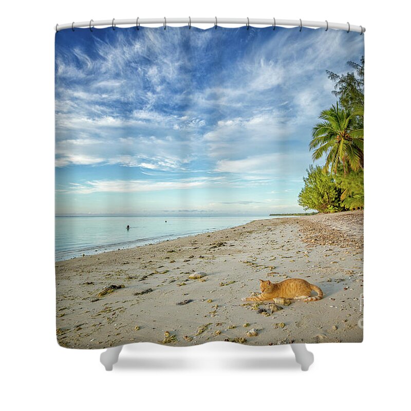 Cat Shower Curtain featuring the photograph CeCe the Beach Cat by Becqi Sherman