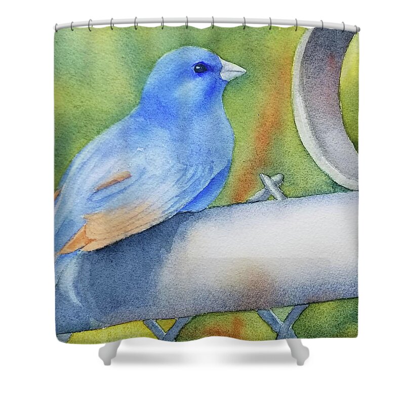 Bird Shower Curtain featuring the painting Chain Link Perch by Judy Mercer