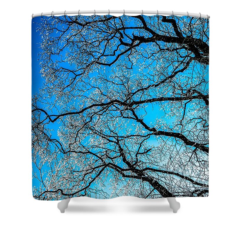 Abstract Shower Curtain featuring the photograph Chaotic System Of Ice Covered Tree Branches With Blue Sky by Andreas Berthold