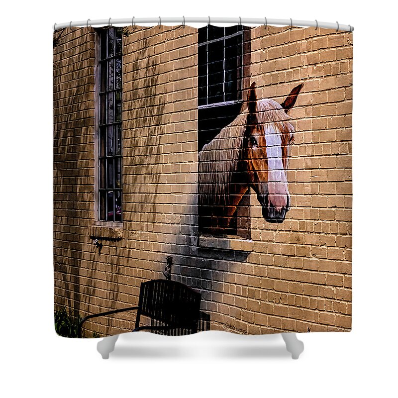 Marietta Georgia Shower Curtain featuring the photograph Charleston Horse Mural by Tom Singleton