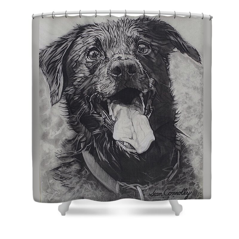 Charcoal Pencil Shower Curtain featuring the drawing Charlie Dog by Sean Connolly