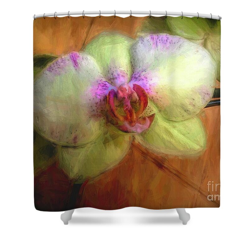 Orchids Shower Curtain featuring the photograph Chartreuse Orchid Paint by Diana Mary Sharpton