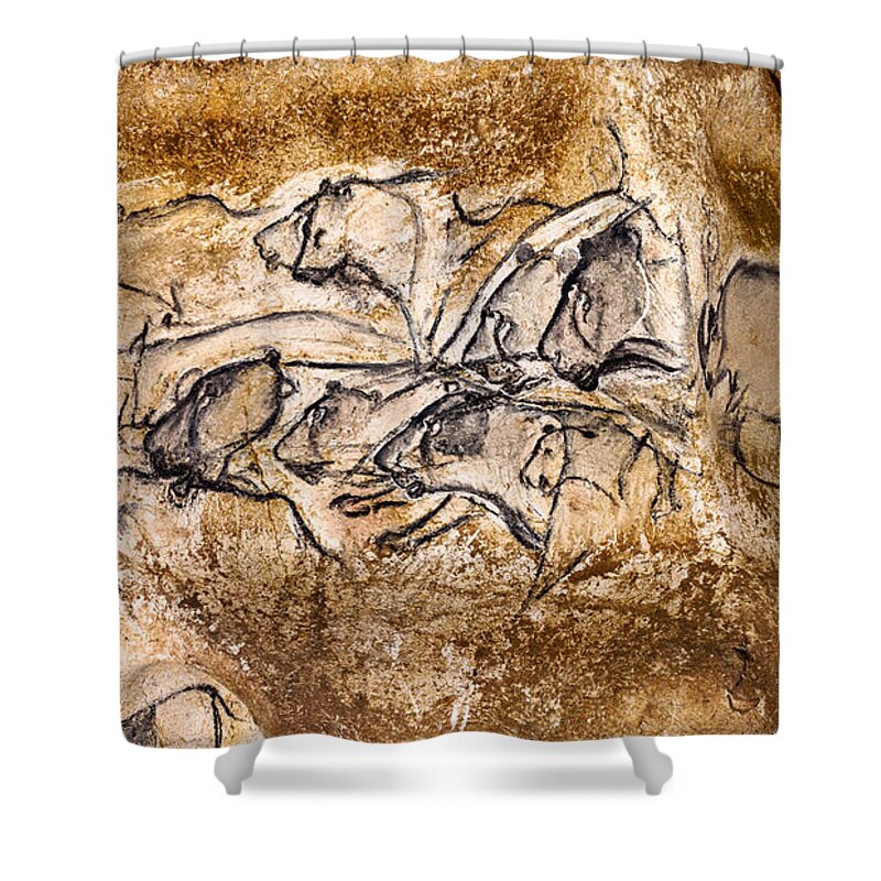 Chauvet Shower Curtain featuring the photograph Chauvet Lions and Bison by Weston Westmoreland