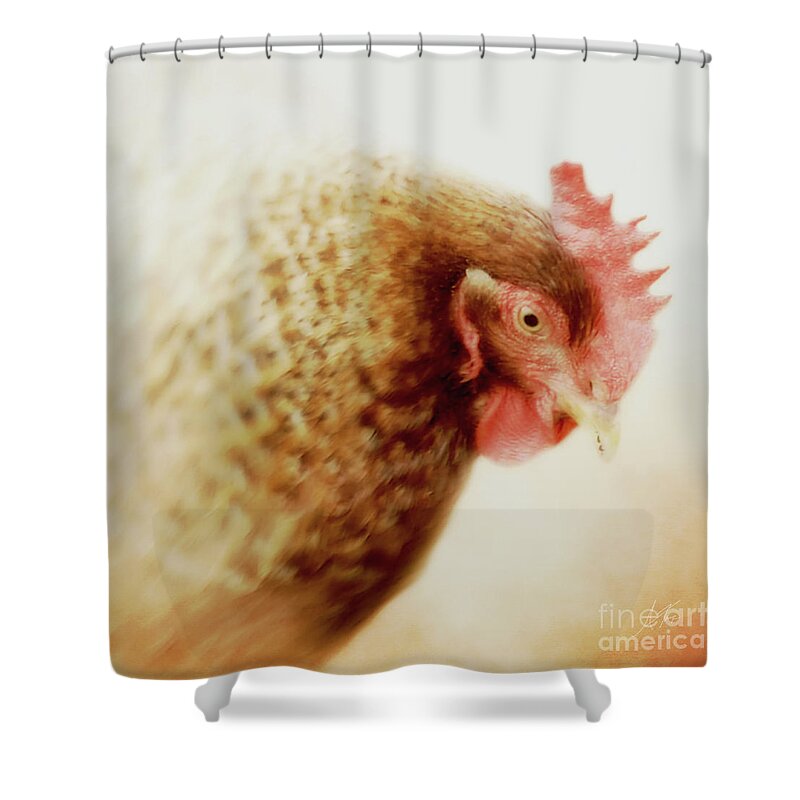 Cherry Shower Curtain featuring the photograph Cherry by Anita Faye