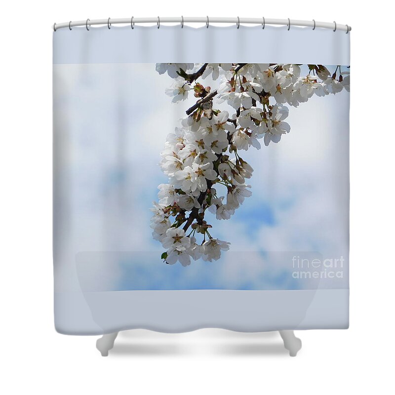 Cherry Blossoms Shower Curtain featuring the photograph Come Nuvole by Stefania Caracciolo