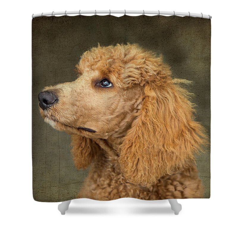 Chester Shower Curtain featuring the photograph Chester 14 by Rebecca Cozart