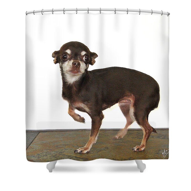 Chihuahua Shower Curtain featuring the painting Chi-Chi by Mark Baranowski