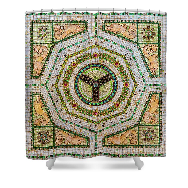 Art Shower Curtain featuring the photograph Chicago Cultural Center Ceiling with Y Symbol in Mosaic by David Levin