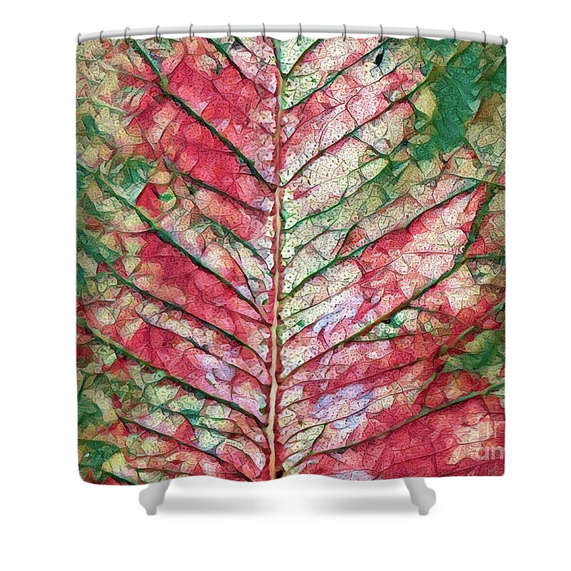 Abstract Shower Curtain featuring the photograph Chilli Pepper by Elaine Teague