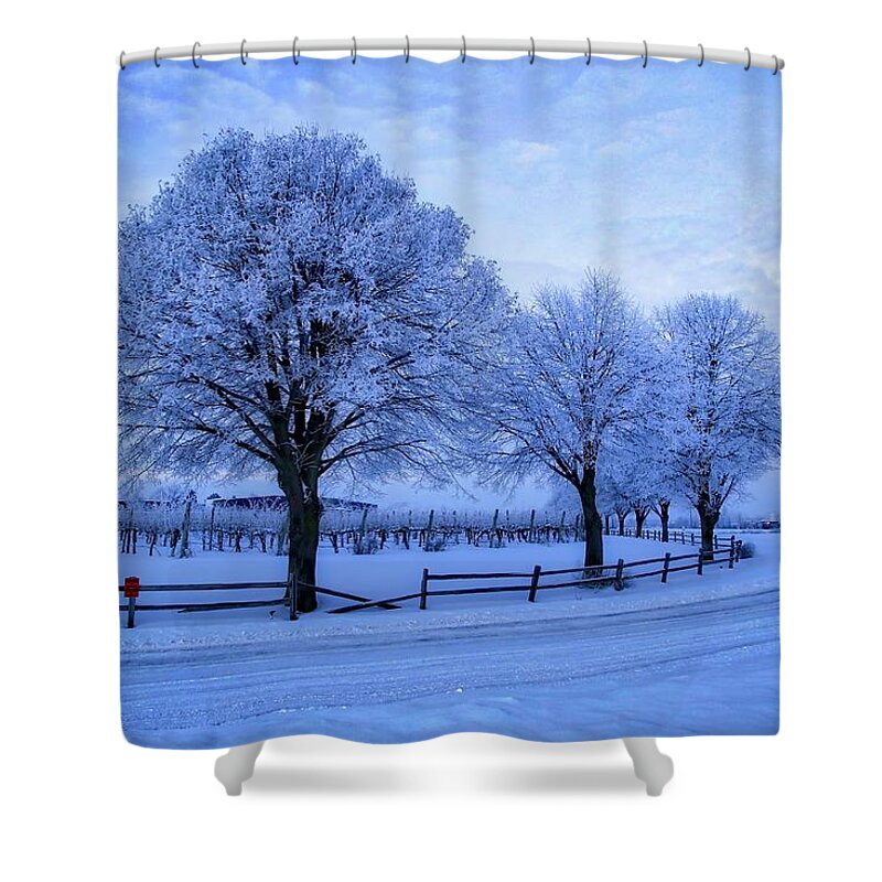 Chilly Winter Morning Shower Curtain featuring the photograph Chilly winter morning by Lynn Hopwood