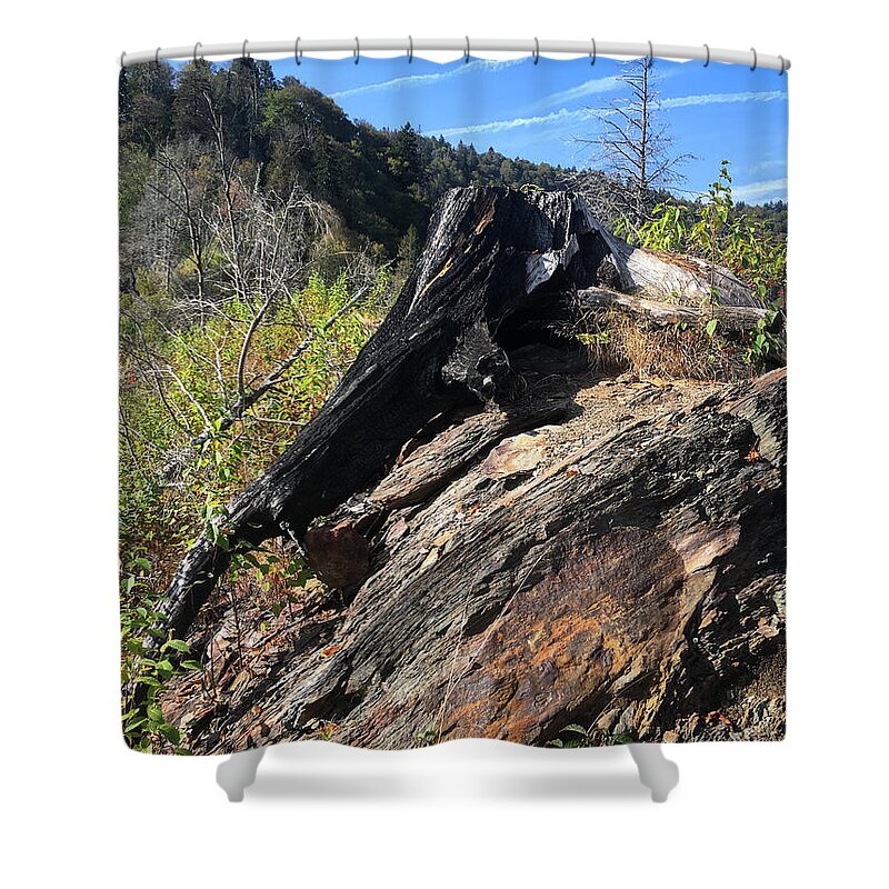 Chimney Tops Shower Curtain featuring the photograph Chimney Tops 20 by Phil Perkins