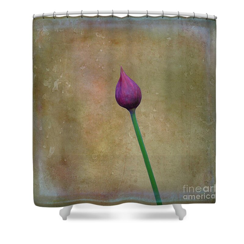 Flower Shower Curtain featuring the photograph Chive Bud by Yvonne Johnstone
