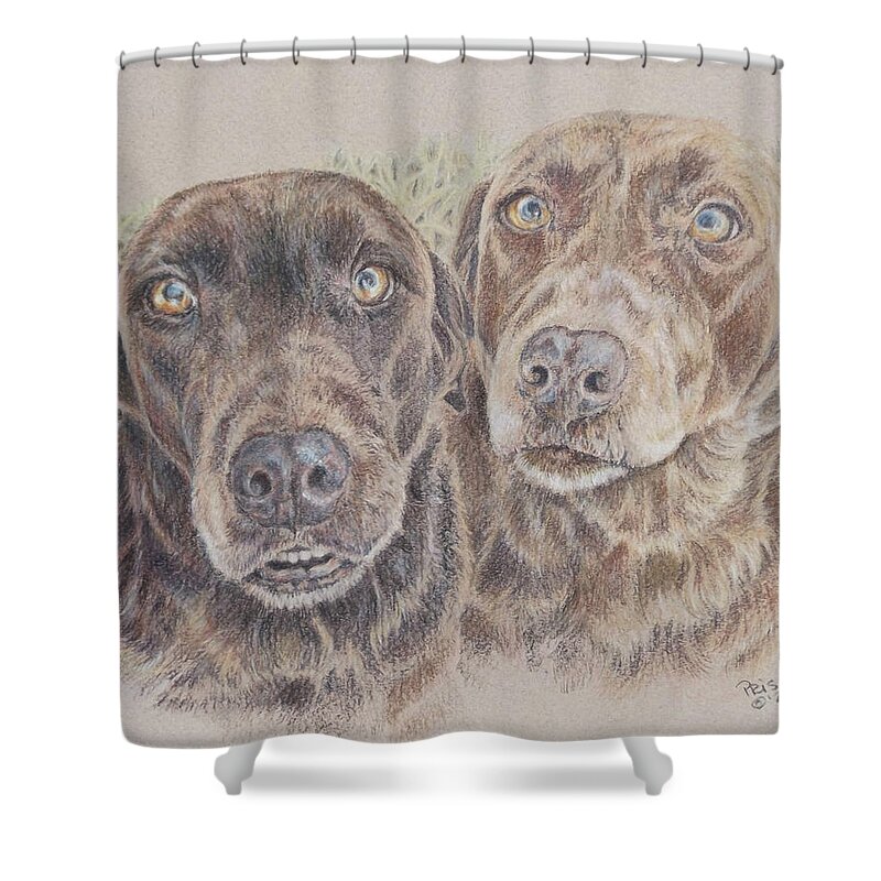 Dog Shower Curtain featuring the drawing Chocolates for Two by Pris Hardy