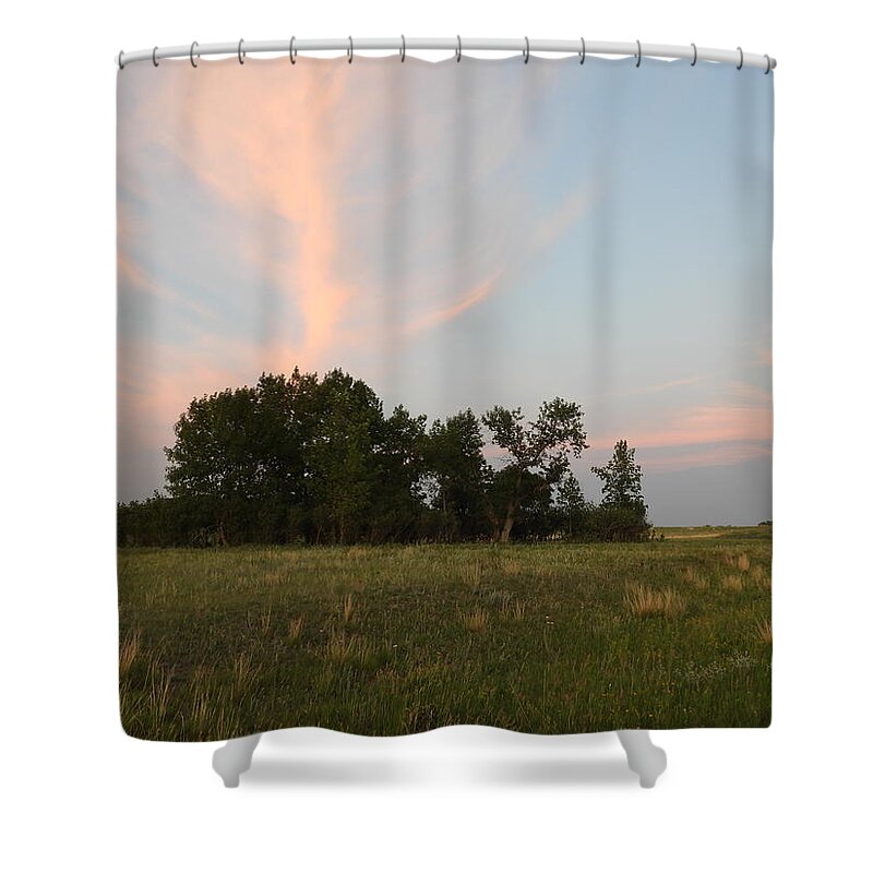 Bushes Shower Curtain featuring the photograph Chokecherry Bushes in the Evening Light by Amanda R Wright