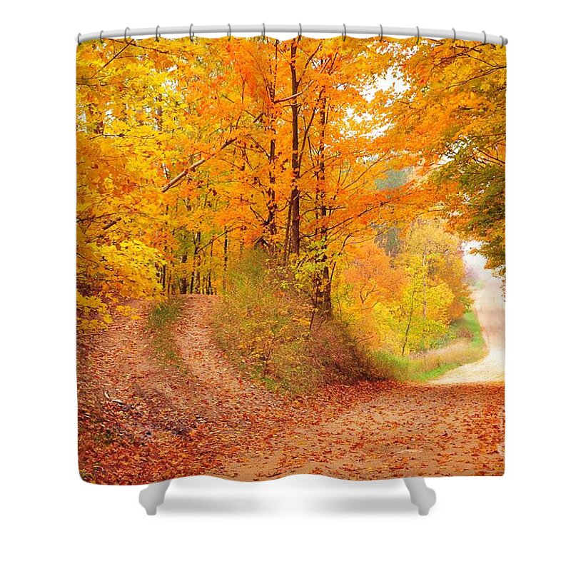 Autumn Shower Curtain featuring the photograph The Road Less Taken by Terri Gostola