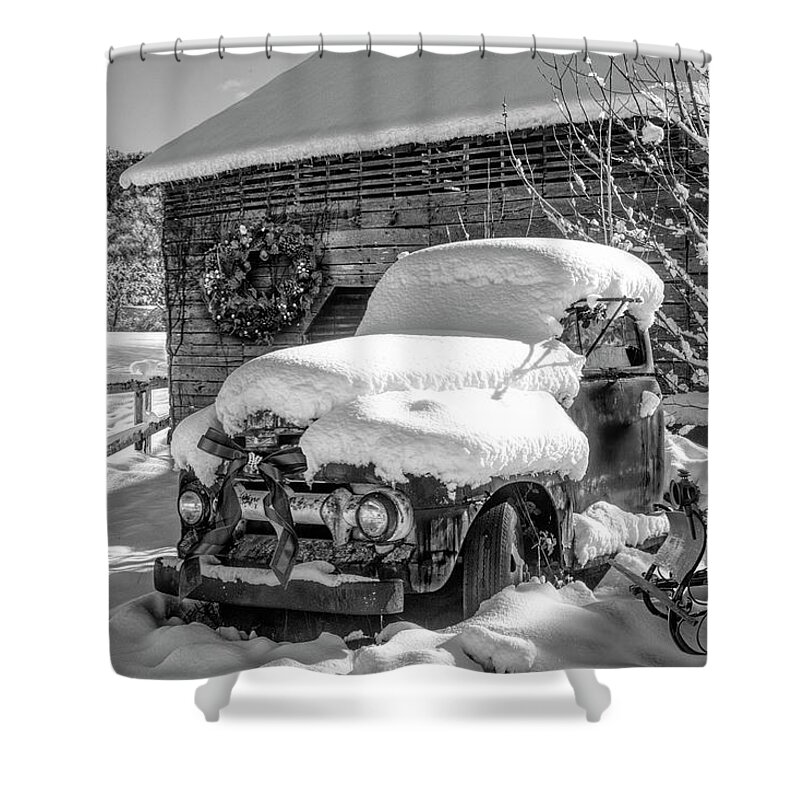 Barns Shower Curtain featuring the photograph Christmas Cardinals Black and White by Debra and Dave Vanderlaan