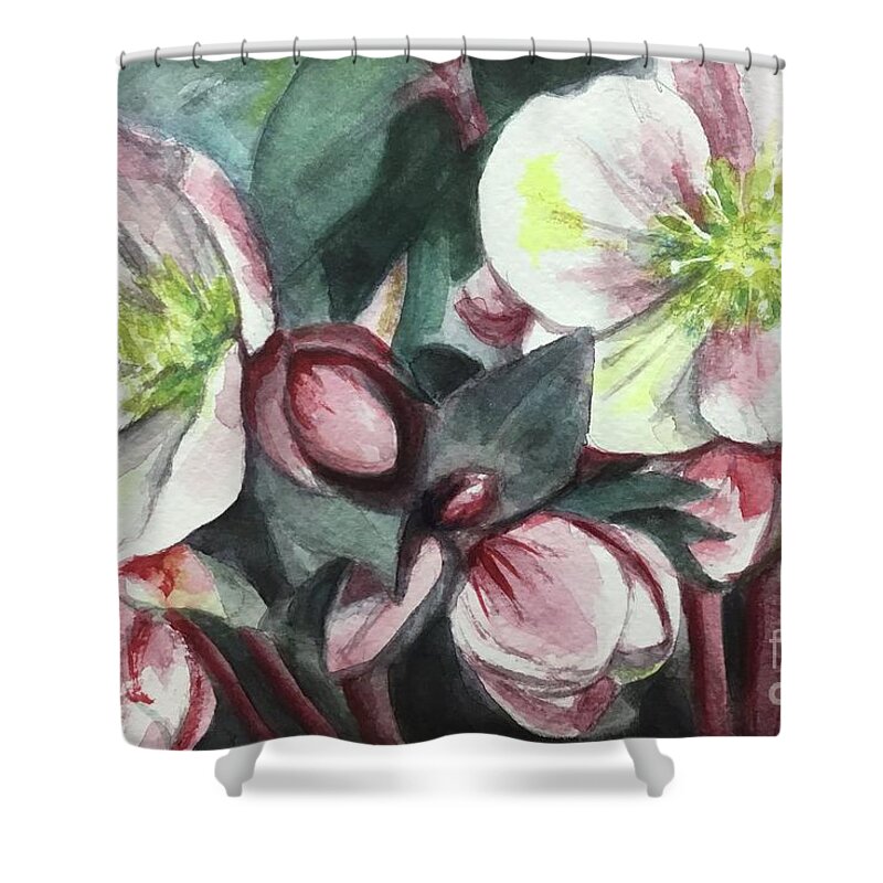 Flower Shower Curtain featuring the painting Christmas Rose by Sonia Mocnik