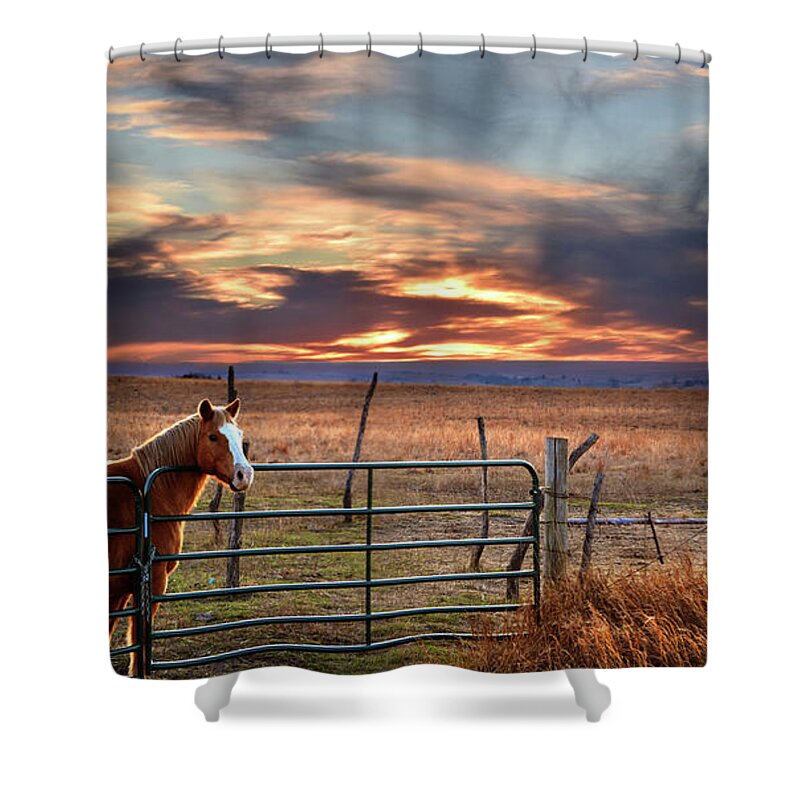 Horse Shower Curtain featuring the photograph Christmas Sunset by Rod Seel