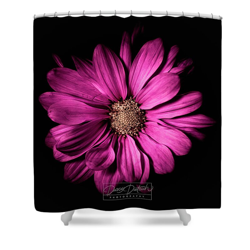 Magenta Flower Shower Curtain featuring the photograph Chrysanthemum by Darcy Dietrich