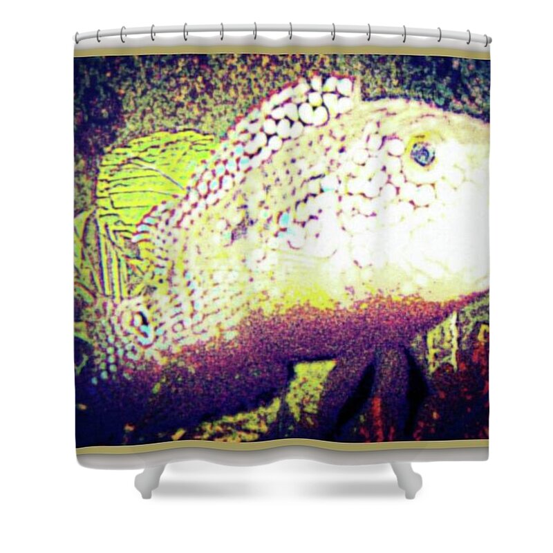  Shower Curtain featuring the mixed media Cichlid by YoMamaBird Rhonda