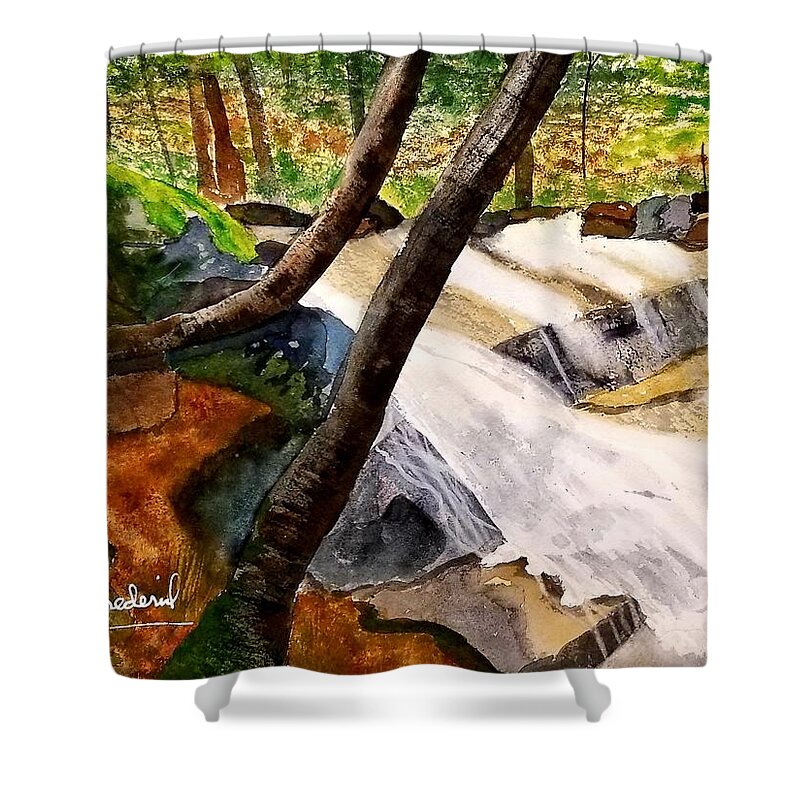 Waterfall Shower Curtain featuring the painting Cindys' Waterfall by Ann Frederick