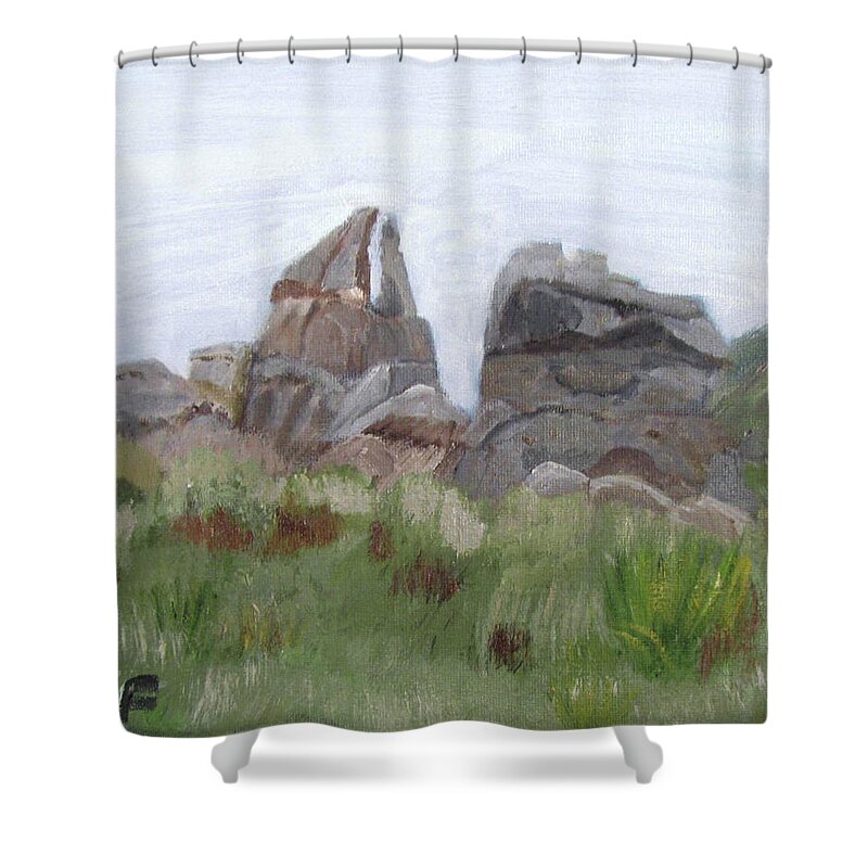 Idaho Shower Curtain featuring the painting City of Rocks by Linda Feinberg