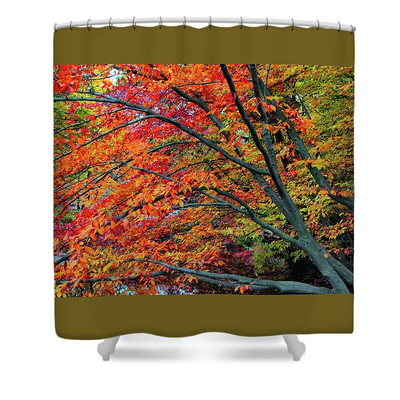 Autumn Shower Curtain featuring the photograph Flickering Foliage by Jessica Jenney