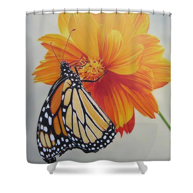 Monarch Shower Curtain featuring the drawing Climb Every Flower by Kelly Speros