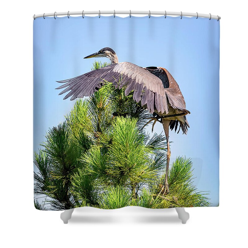 Bird Shower Curtain featuring the photograph Climbing Heron by Al Mueller