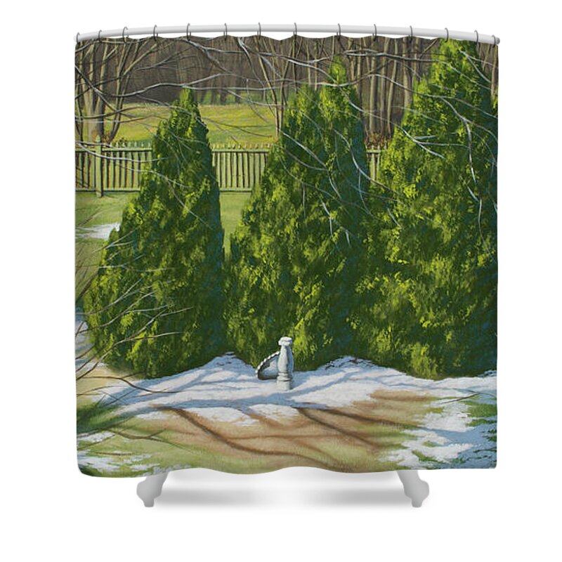 Landscape Shower Curtain featuring the painting Closed for Winter by Timothy Stanford