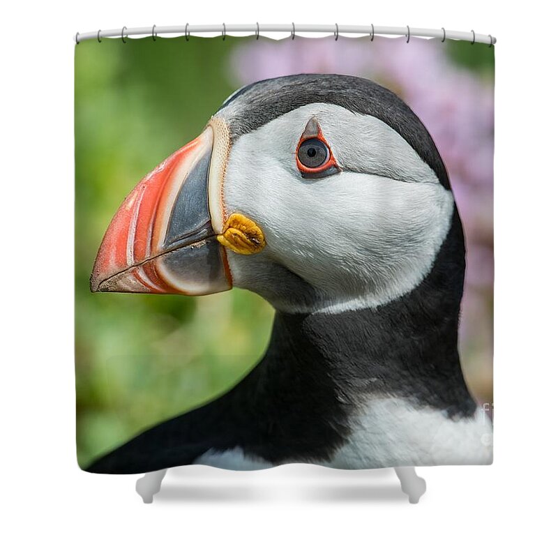 Sea Shower Curtain featuring the photograph Closeup by Michael Graham