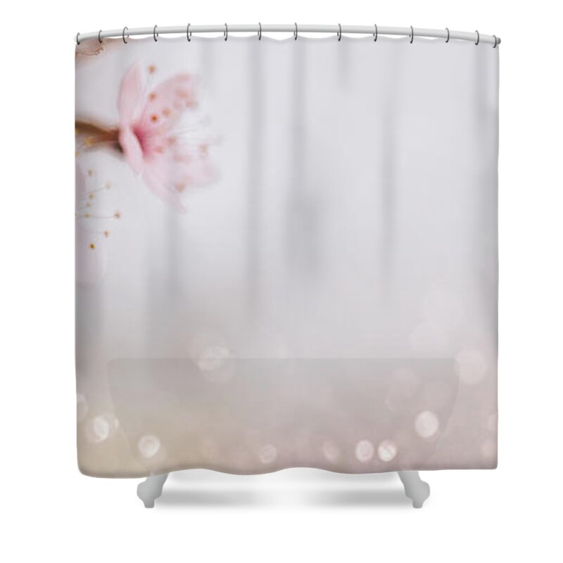 Blossom Shower Curtain featuring the photograph Closeup of cherry blossom flower on bokeh pastel background. Mac by Jelena Jovanovic