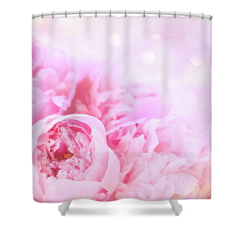 Abstract Shower Curtain featuring the photograph Closeup of peony flowers on soft pastel background by Sandra Cunningham