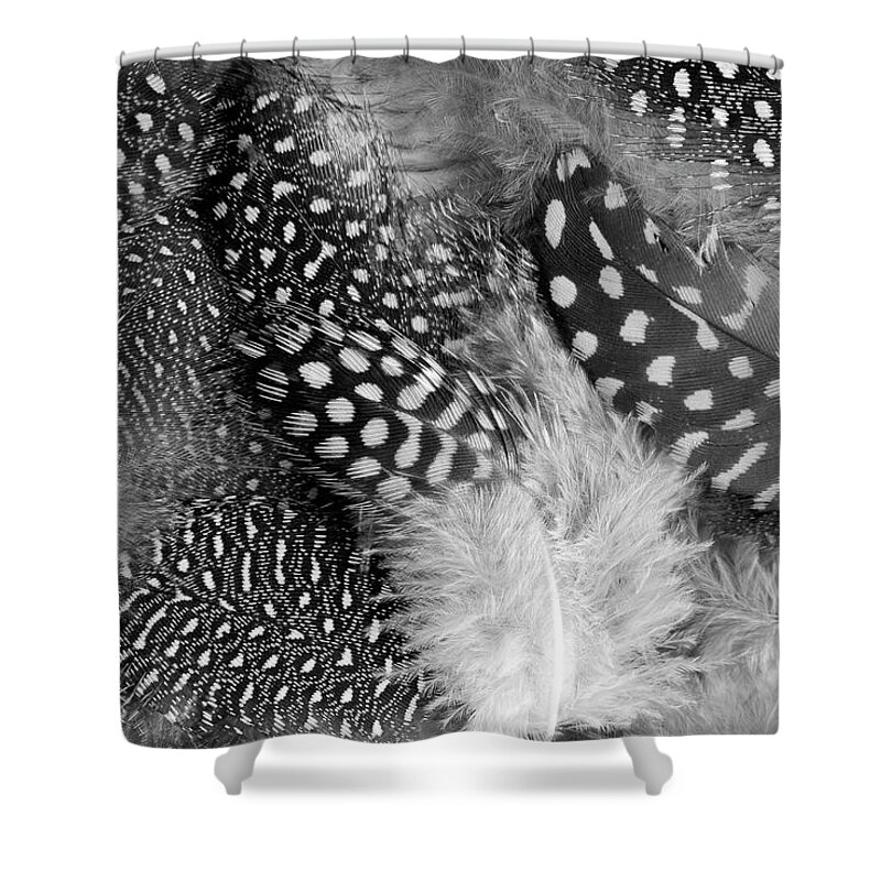Feathers Shower Curtain featuring the photograph Closeup Of The Grey Feather Background by Severija Kirilovaite