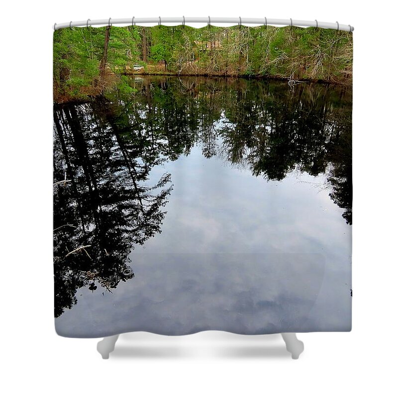 Trees Shower Curtain featuring the photograph Cloudy Reflection by Linda Stern