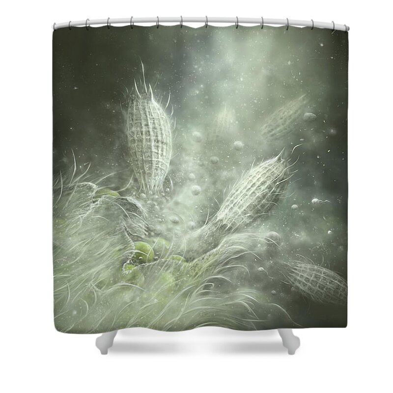 Protozoa Shower Curtain featuring the digital art Coleps Feeding Frenzy by Kate Solbakk
