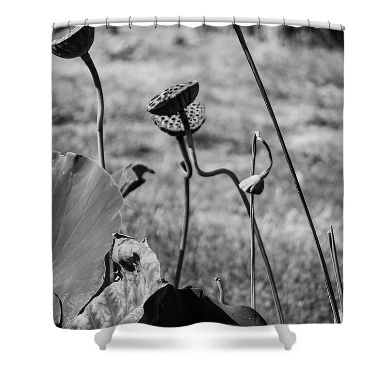 Nature Shower Curtain featuring the photograph Color me gone by Stewart Helberg