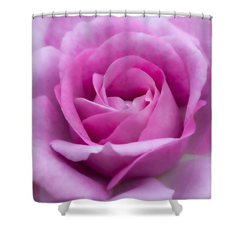 Rose Shower Curtain featuring the photograph Color me Rose by Linda Bonaccorsi