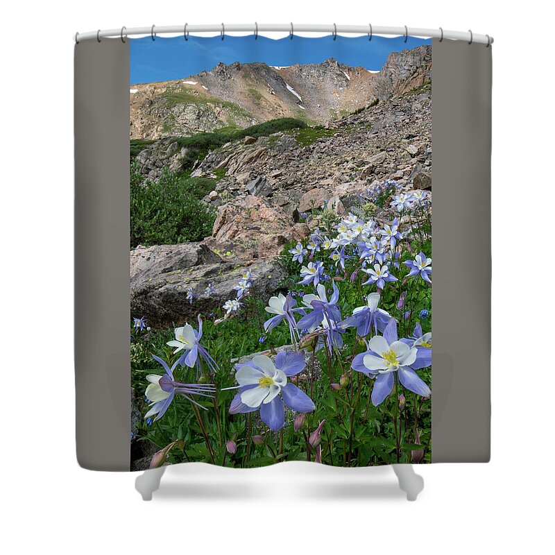 Colorado Shower Curtain featuring the photograph Colorado Columbine in the Alpine by Cascade Colors