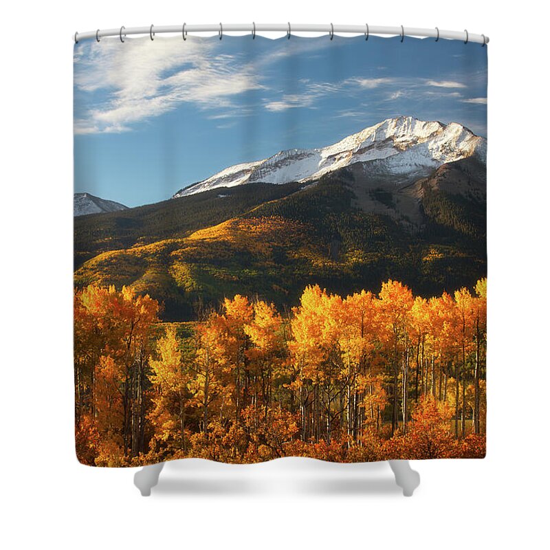 Aspen Shower Curtain featuring the photograph Colorado Gold by Darren White