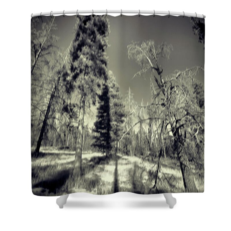 Colorado Trees Shower Curtain featuring the photograph Colorado Trees Pinhole BW by Cathy Anderson