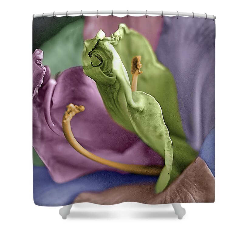 Lily Shower Curtain featuring the photograph Colored LIly 3 by M Kathleen Warren