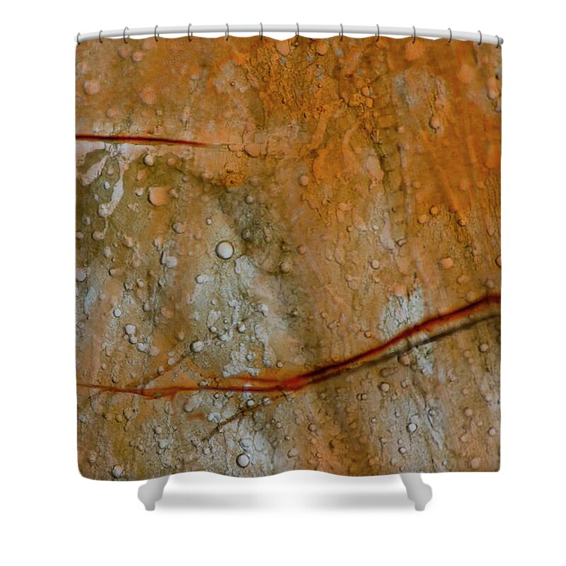 Abstract Shower Curtain featuring the photograph Colored Thin Ice Abstract by Charles Floyd