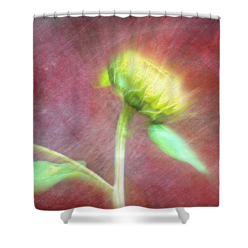Sunflower Shower Curtain featuring the photograph Colorful Bursting Sunflower by Debra Martz