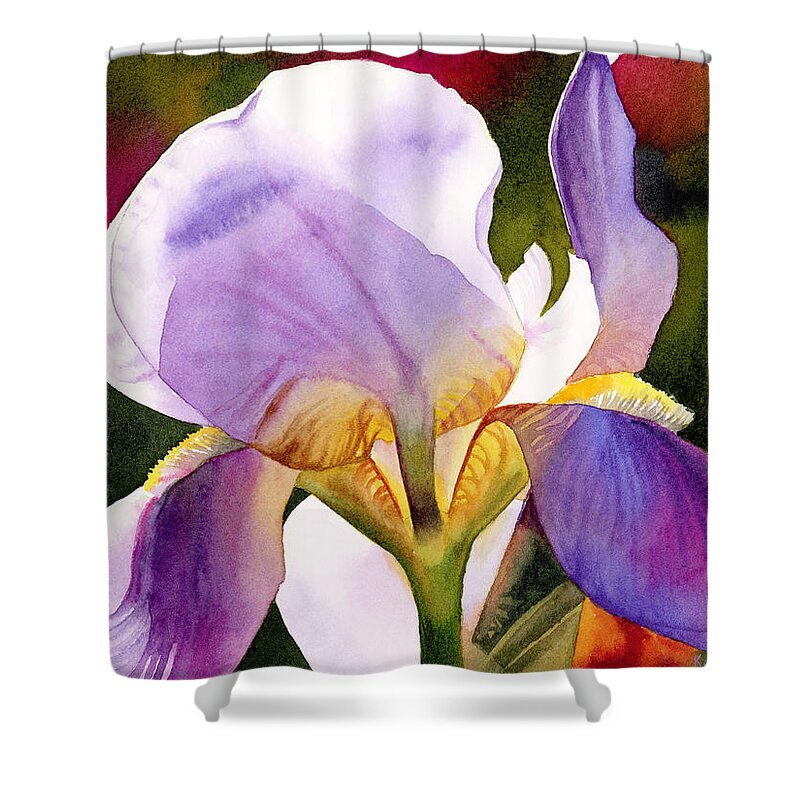 Iris Shower Curtain featuring the painting Colorful Iris by Espero Art